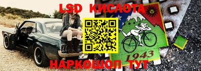 прущие грибы Рыбинск