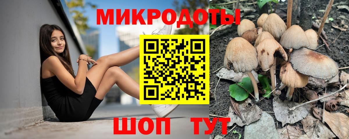 Галлюциногенные грибы Psilocybine cubensis Нальчик